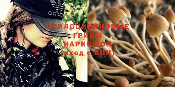 дистиллят марихуана Богданович