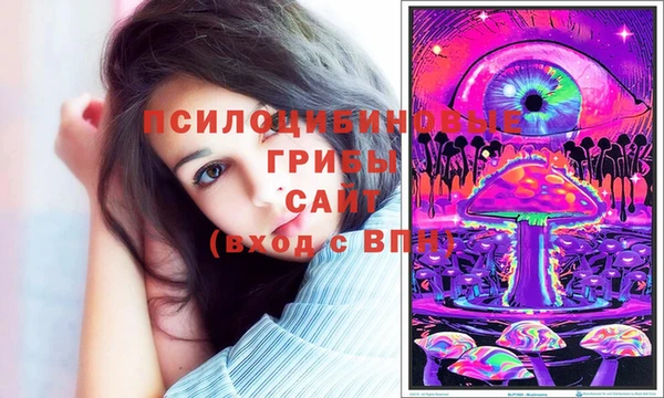 бошки Балахна