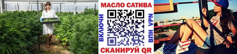 где купить наркоту  нарко площадка состав  ТГК гашишное масло  Невель 