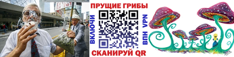 darknet как зайти  МЕГА tor  Псилоцибиновые грибы GOLDEN TEACHER  Невель  где купить наркоту 